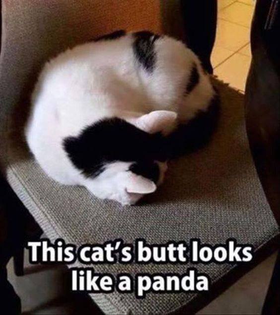 Acid Picdump. Part 2 (96 pics)