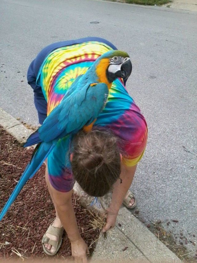 Acid Picdump. Part 2 (96 pics)