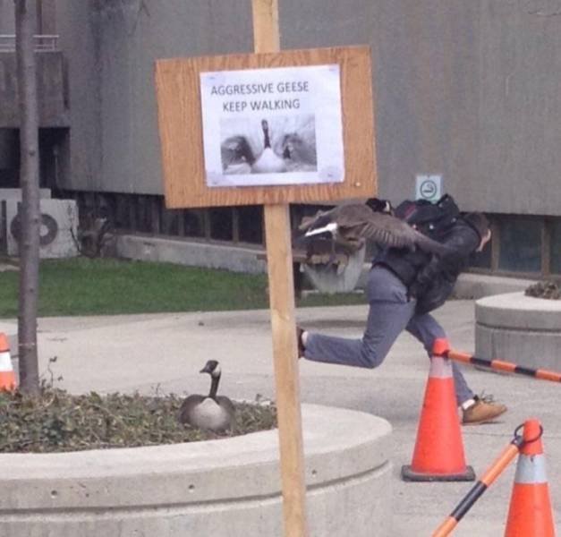 Acid Picdump. Part 2 (96 pics)