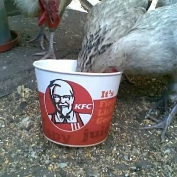 Acid Picdump. Part 2 (96 pics)