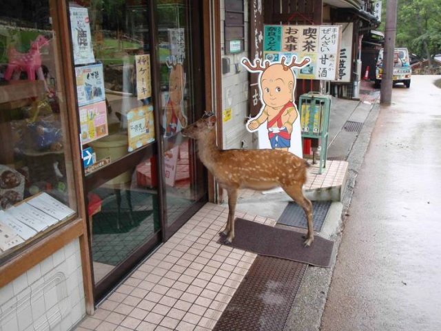 Acid Picdump. Part 2 (96 pics)
