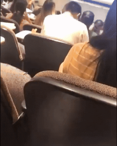 Acid Gifdump, August 1 (25 gifs)