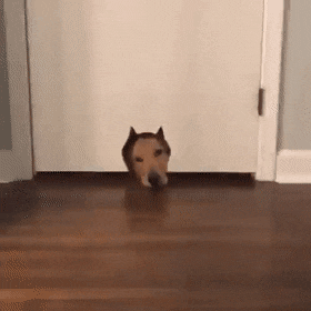 Acid Gifdump, August 1 (25 gifs)
