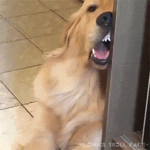 Acid Gifdump, August 2 (25 gifs)