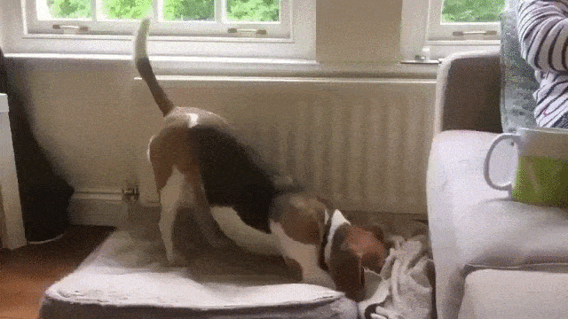Acid Gifdump, August 2 (25 gifs)