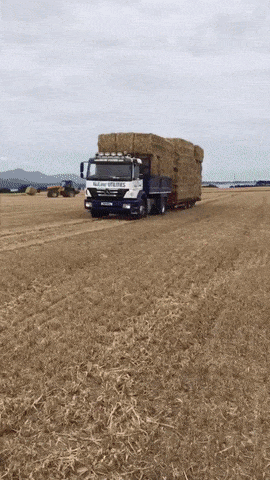 Acid Gifdump, August 2 (25 gifs)