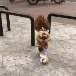 Acid Gifdump, August 2 (25 gifs)