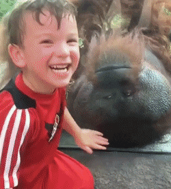Acid Gifdump, August 2 (25 gifs)