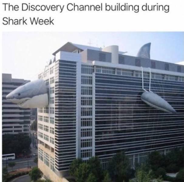 Shark Week Memes (29 pics)