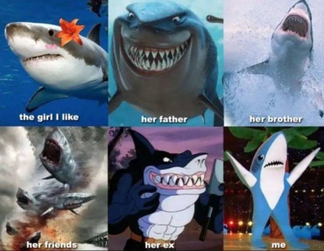 Shark Week Memes (29 pics)