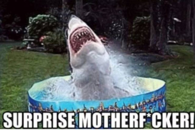 funny shark week meme