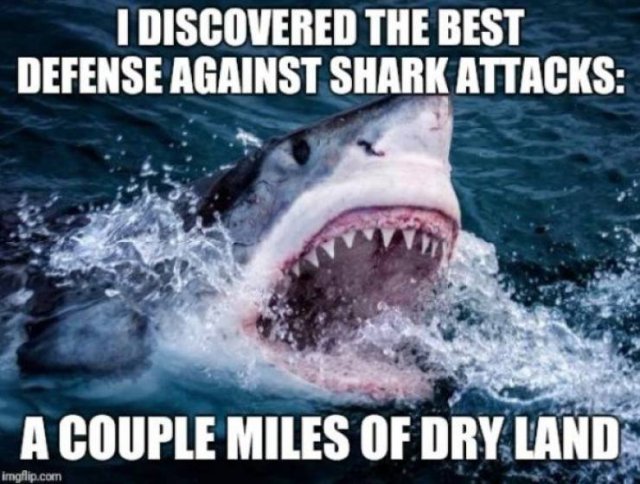 Shark Week Memes (29 pics)