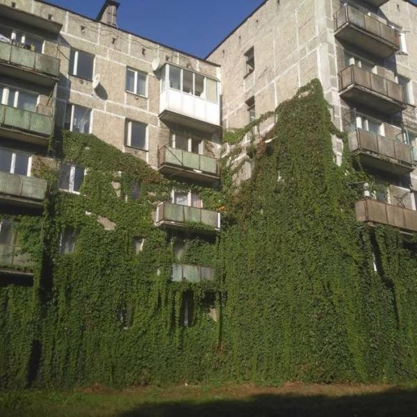 Welcome To Russia (40 pics)