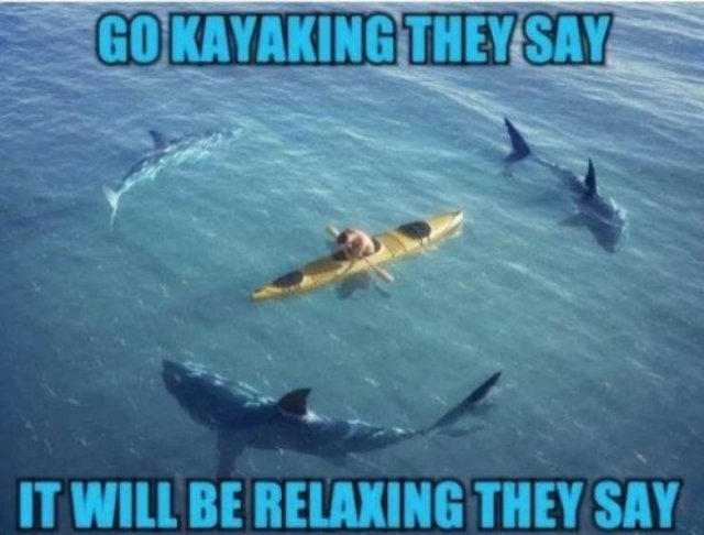 Shark Week Memes (29 pics)