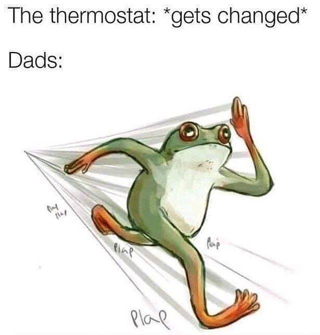 So True (55 pics)