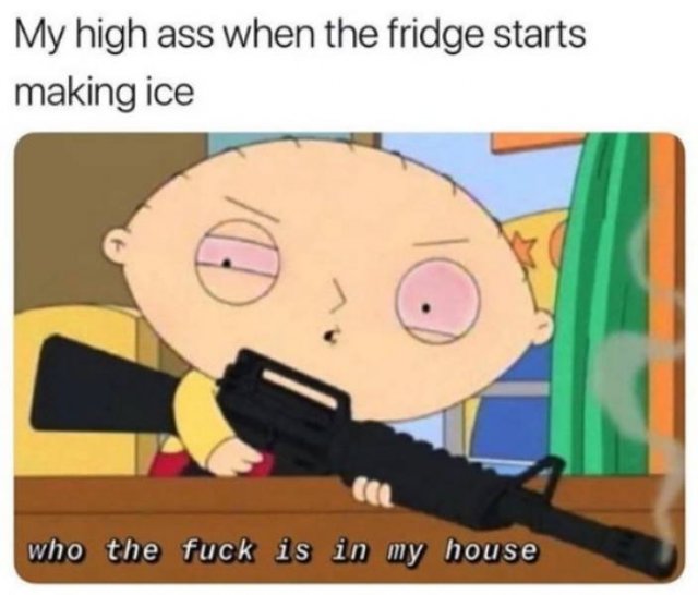 So True (55 pics)