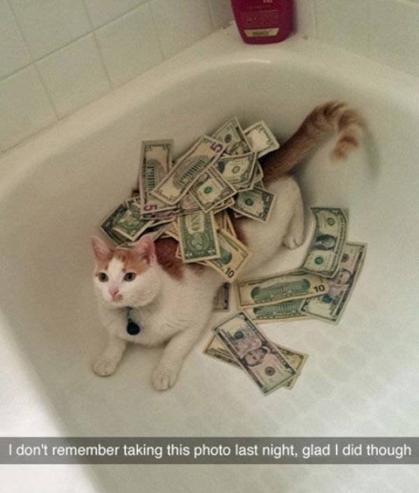 Getting Drunk (47 pics)
