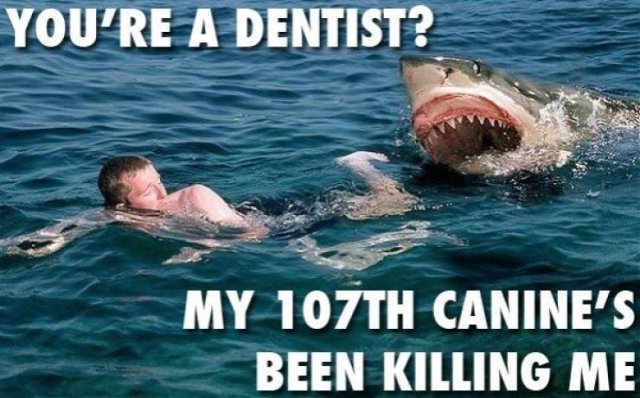 Shark Week Memes (29 pics)