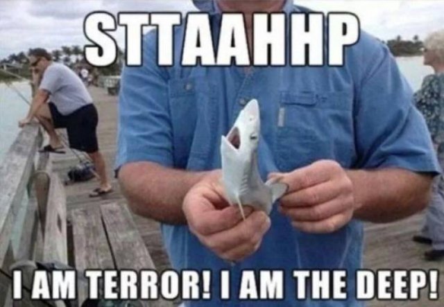 Shark Week Memes (29 pics)