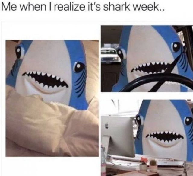 Shark Week Memes (29 pics)