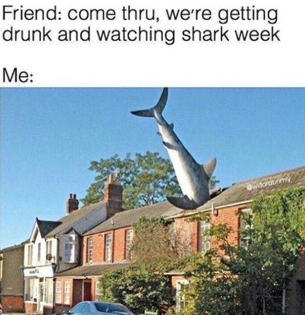 Shark Week Memes (29 pics)