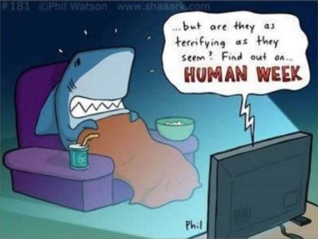 Shark Week Memes (29 pics)