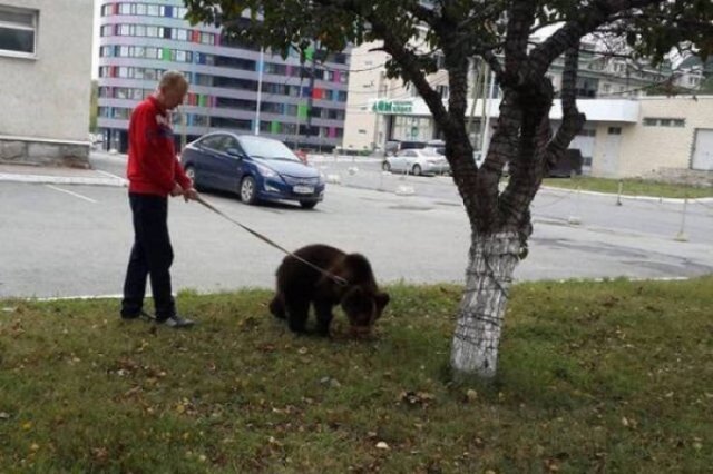 Welcome To Russia (40 pics)