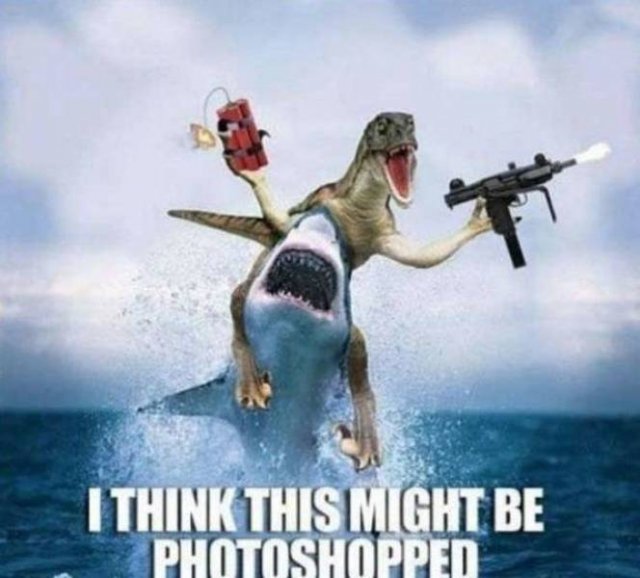 Shark Week Memes (29 pics)