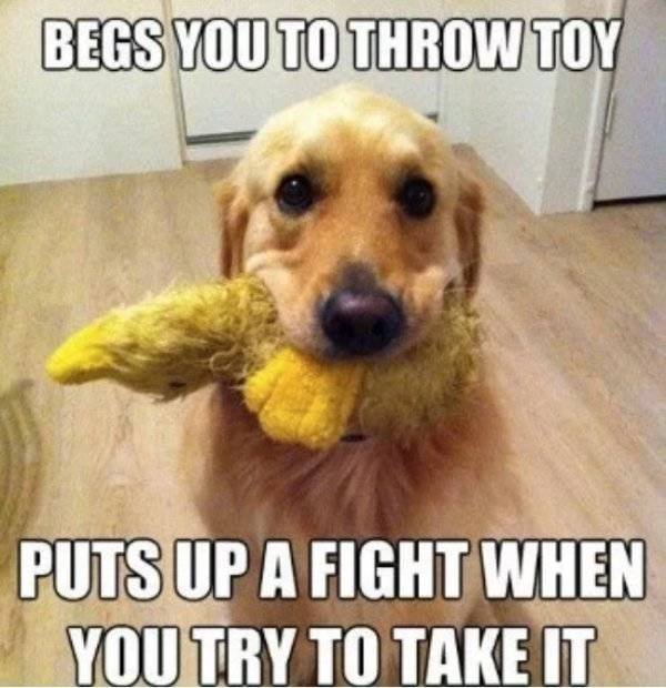 So True (55 pics)