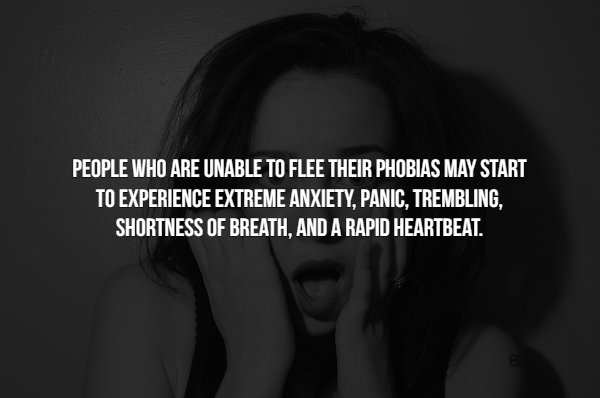 Facts About Phobias (15 pics)