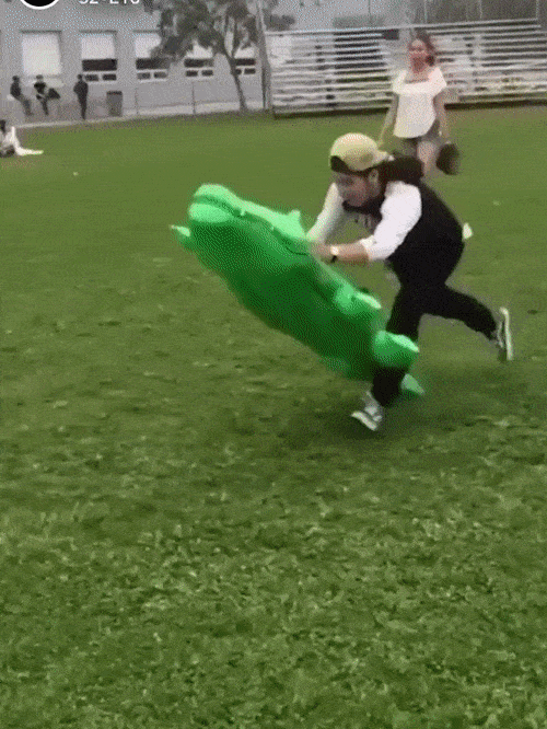 Fails (16 gifs)