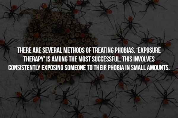 Facts About Phobias (15 pics)