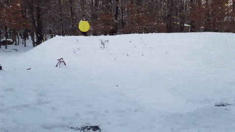 Fails (16 gifs)