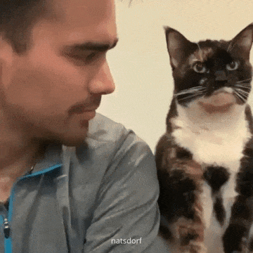 Cats Are The Best (33 pics)