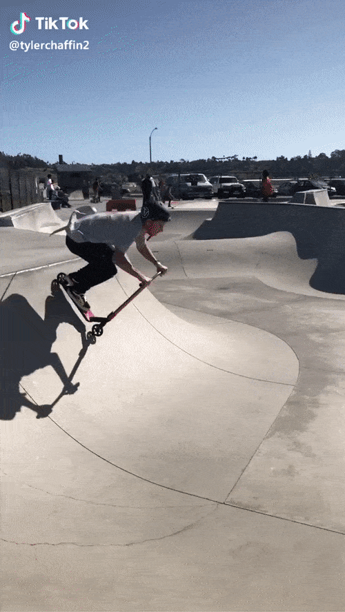 Fails (16 gifs)