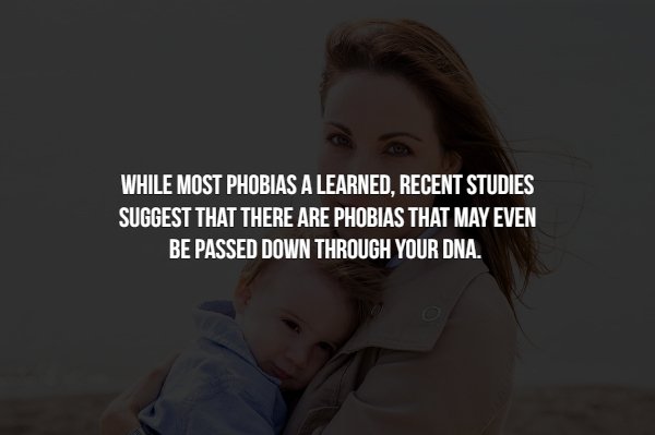 Facts About Phobias (15 pics)