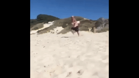 Fails (16 gifs)