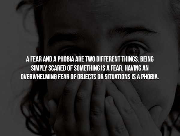 Facts About Phobias (15 pics)