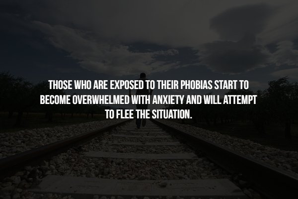 Facts About Phobias (15 pics)