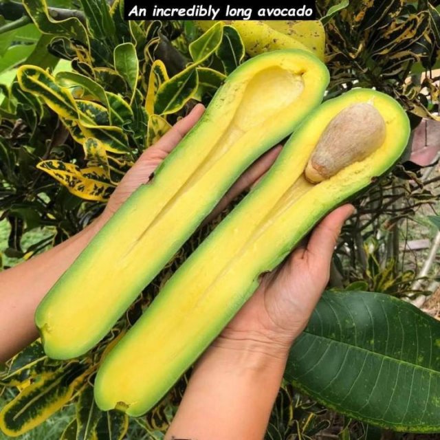 Acid Picdump. Part 1 (94 pics)