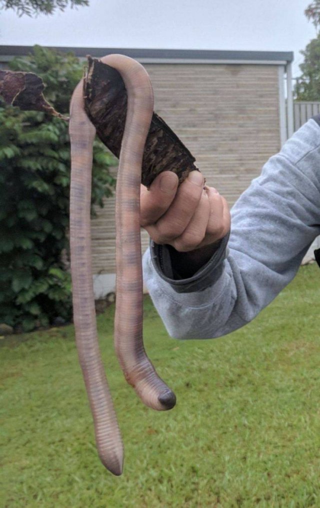 Acid Picdump. Part 1 (94 pics)