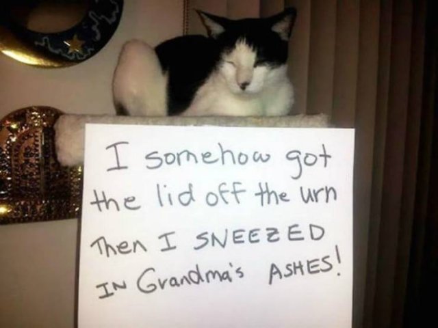 Acid Picdump. Part 1 (94 pics)