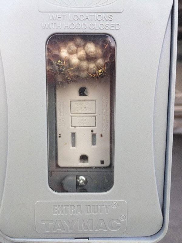 Nope (37 pics)