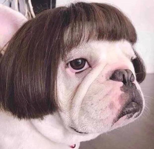 Nope (37 pics)