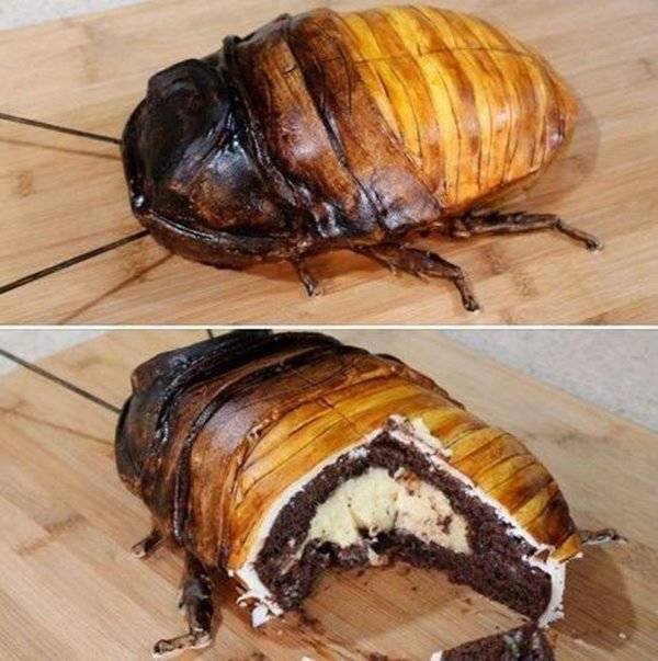 Nope (37 pics)