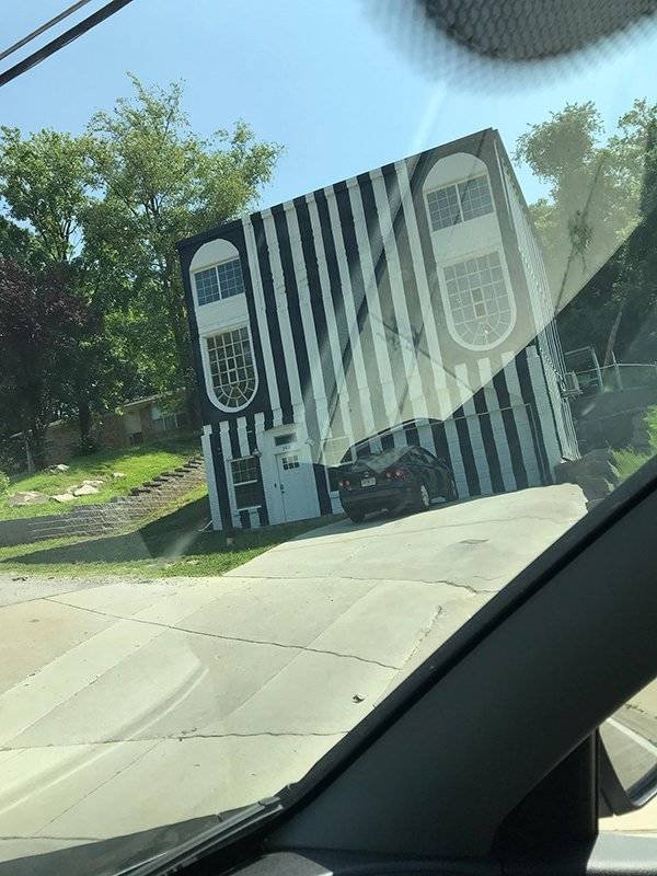 Nope (37 pics)