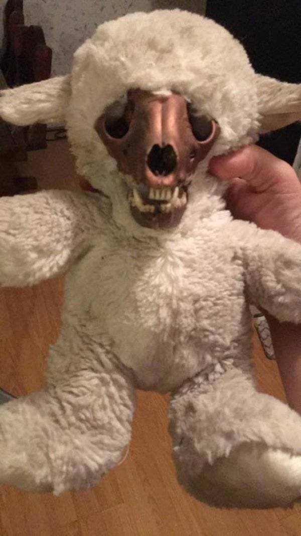 Nope (37 pics)