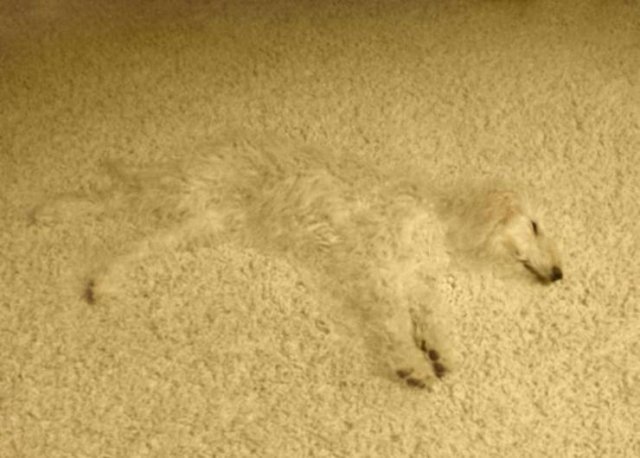 Acid Picdump. Part 2 (92 pics)
