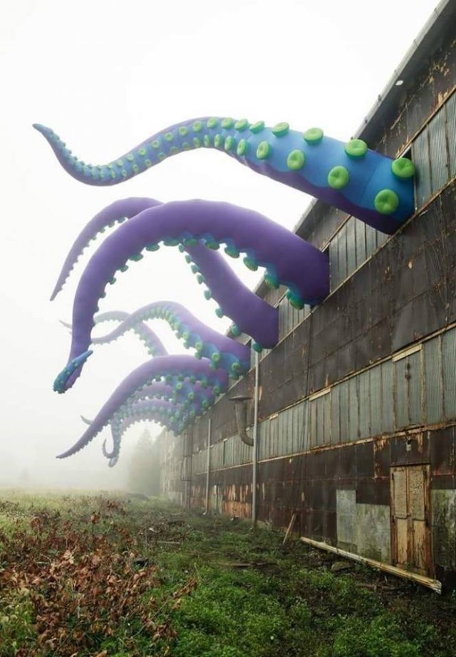 Acid Picdump. Part 2 (92 pics)