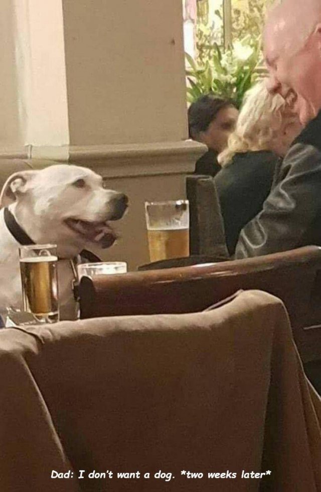 Acid Picdump. Part 2 (92 pics)